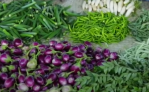 Cancer aahar : स्वास्थ्य संबंधित आहार